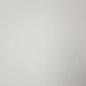 Meet your Posher, Priya